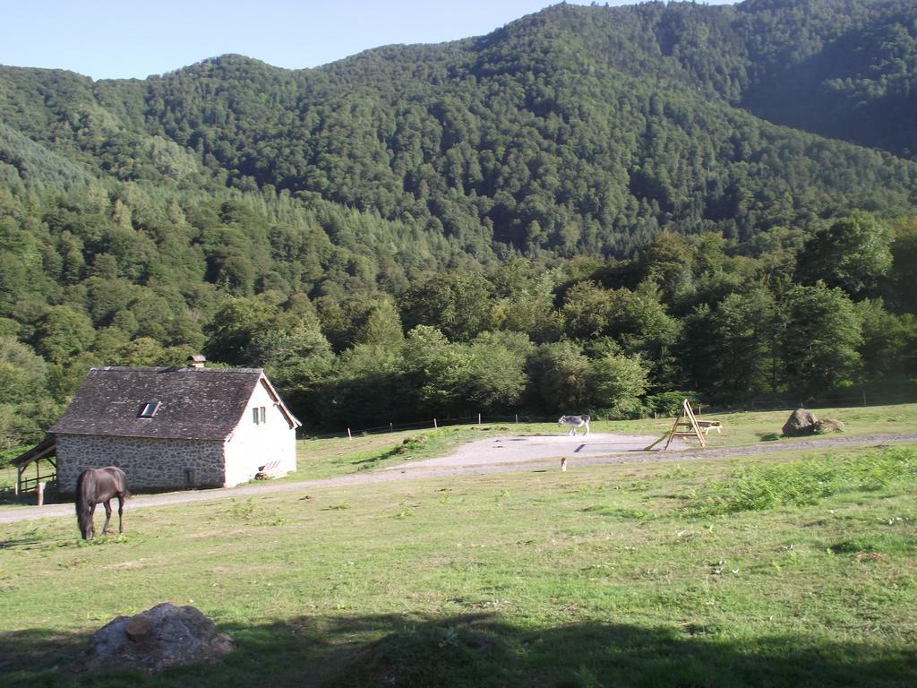 Les Chalets De La Foret D'Issaux Osse-en-Aspe Zimmer foto
